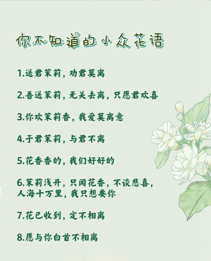 1766719136437242.jpg 茉莉花的花语和象征寓意