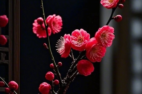 1766729969435271.jpg 梅花的品质和精神