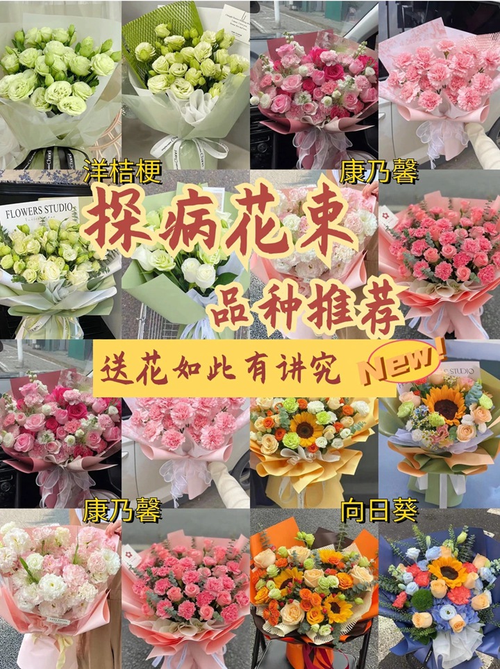 1766974056163197.jpg 看病人送什么花
