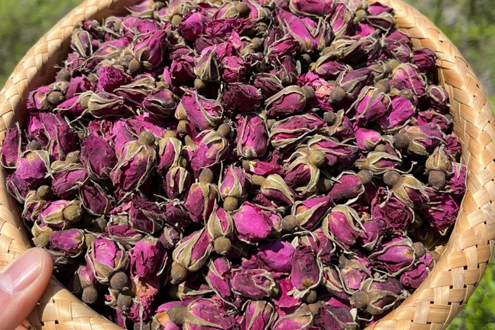 1776304953632876.jpg 月季花可以用来食用吗?