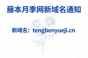 藤本月季网域名更换为tengbenyueji.cn
