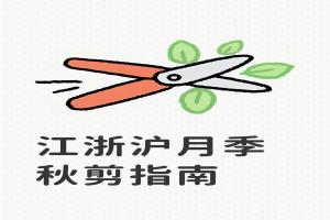 江浙沪地区月季秋季修剪指南