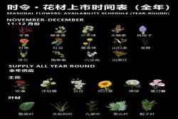 一月到十二月的时令花卉