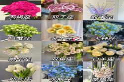 十二星座的守护花