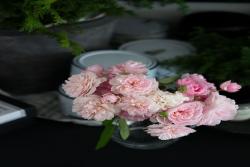 花见小路 Hanamikoji