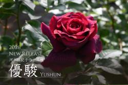 优骏 Yushun