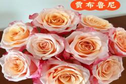 贾布鲁尼Jabulani